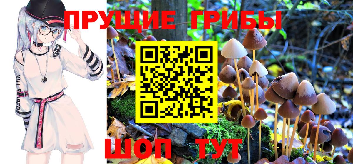 Псилоцибиновые грибы MAGIC MUSHROOMS Славгород