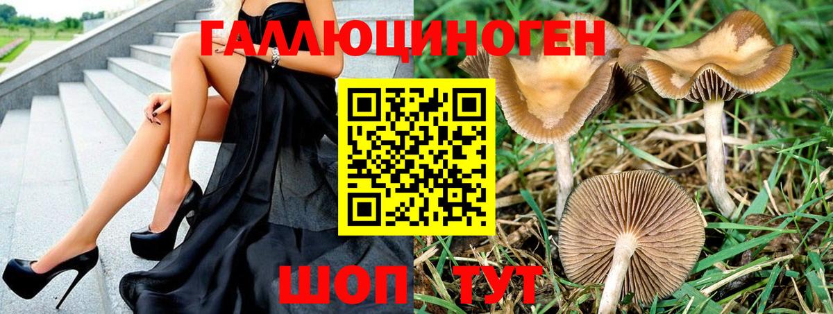 Псилоцибиновые грибы мицелий  Псилоцибиновые грибы Psilocybine cubensis  Вход с VPN  Славгород 